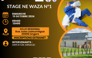 STAGE NE WAZA N°1