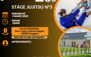 Stage jujitsu n°3 9h-12h