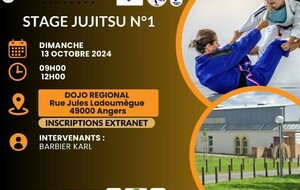 STAGE JUJITSU N°1