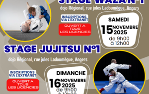 stage jujitsu