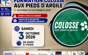 Formation colosse aux pieds d'argile
