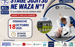 Stage jujitsu /Ne waza 1